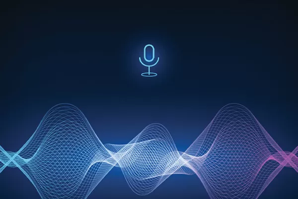Revealing Speech Recognition: Building the Foundation of Industrial Data